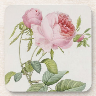 Redoute Vintage Rose French Accent Coasters