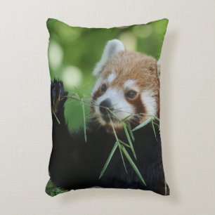 RedPanda 002 Accent Pillow