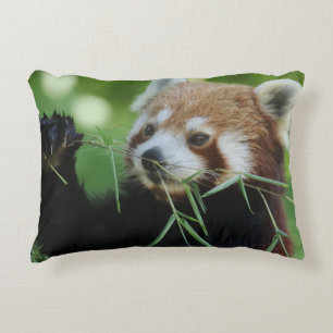 RedPanda 002 Accent Pillow