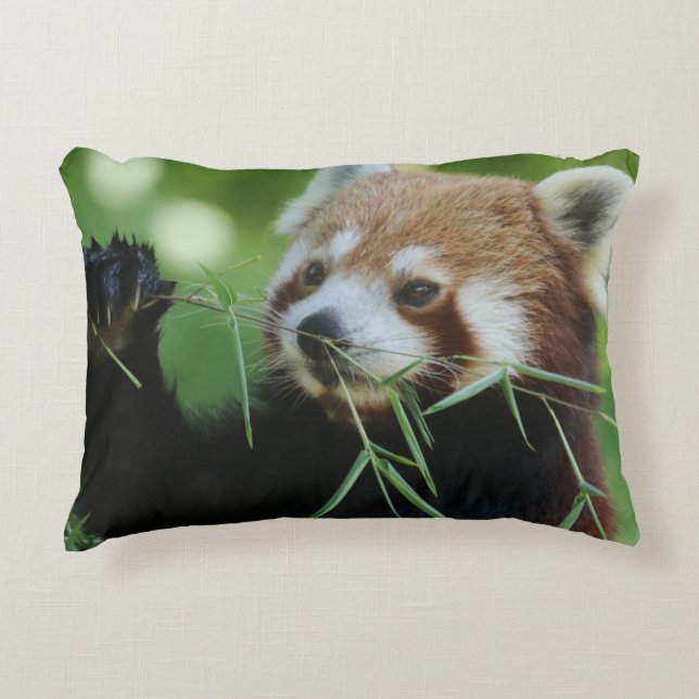 RedPanda 002 Accent Pillow (Front)
