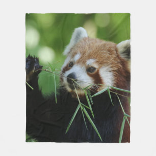 RedPanda 002 Fleece Blanket