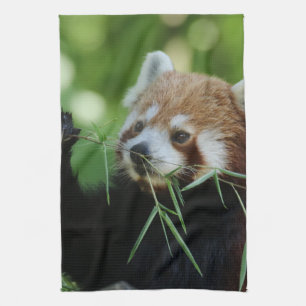 RedPanda 002 Kitchen Towel