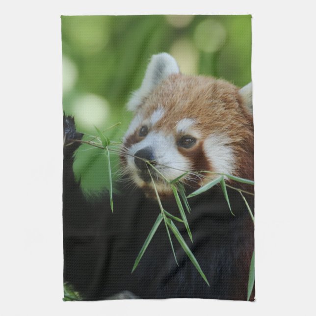 RedPanda 002 Kitchen Towel (Vertical)