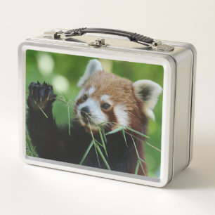 RedPanda 002 Metal Lunch Box