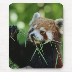 RedPanda 002 Mouse Pad
