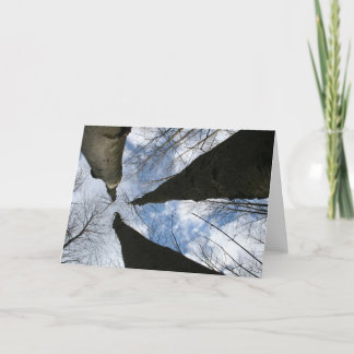 REDREAMING:LOOK UP CARD