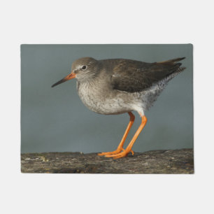 Redshank   Tringa Totanus Doormat