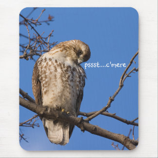 Redtail Mouse Guard Pad