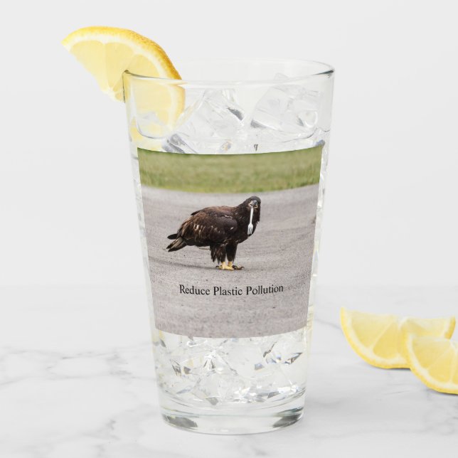 Reduce Plastic Pollution Glass (Front Ice)