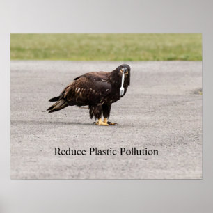 Reduce Plastic Pollution Poster