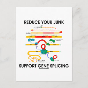 Reduce Your Junk Support Gene Splicing (RNA Humour Postcard