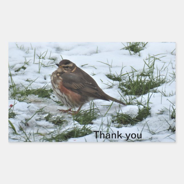 Redwing Sticker (Front)