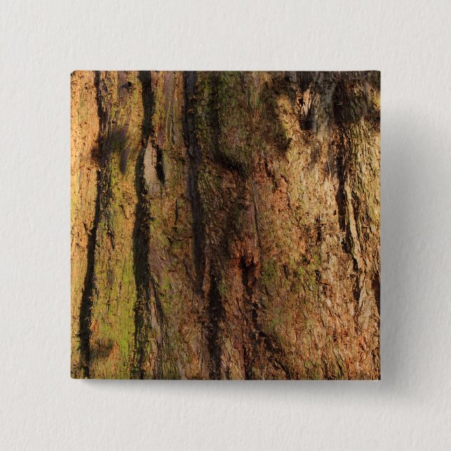 Redwood Bark Photo Texture 2 Inch Square Button (Front)