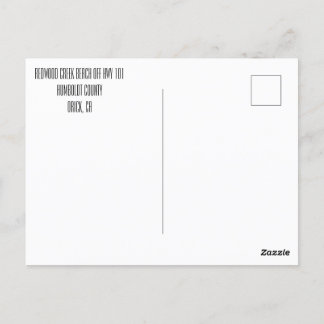 Redwood Creek Beach Highway 101 California Postcard