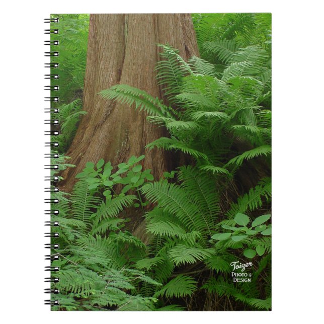 Redwood & Ferns notebook (Front)