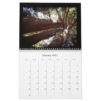 Redwood Forest Calendar