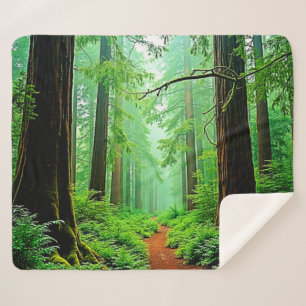 Redwood Forest Misty Tranquility Design Sherpa Blanket