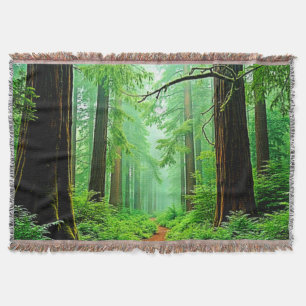 Redwood Forest Misty Tranquillity Design Throw Blanket
