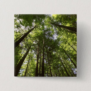 Redwood Forest, Rotorua, New Zealand 2 Inch Square Button