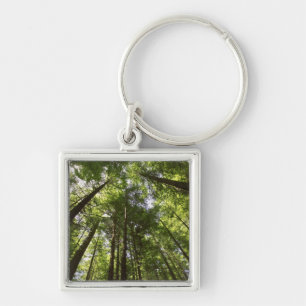 Redwood Forest, Rotorua, New Zealand 2 Keychain
