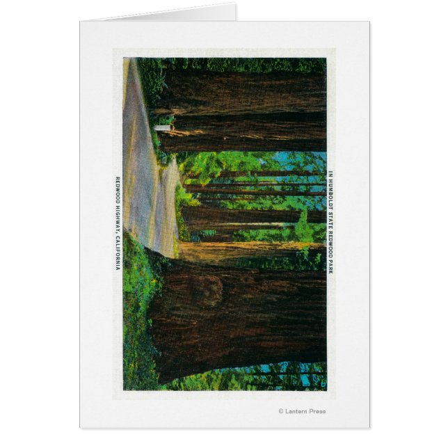 Redwood Highway dans Humboldt State Redwood Park (Devant)