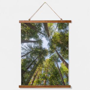Redwood National and State Parks, California Hanging Tapestry