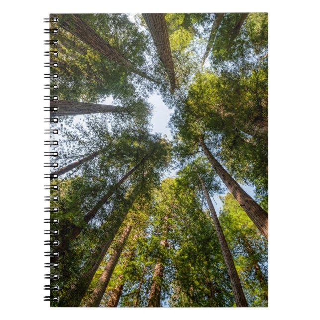 Redwood National and State Parks, California Notebook (Front)
