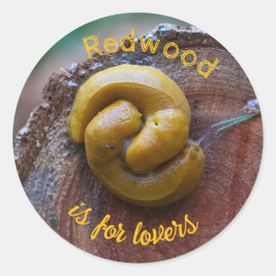 Redwood National Park Banana Slug Pair Classic Round Sticker