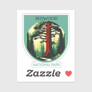 Redwood National Park Beauty in California