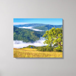 Redwood National Park, California Canvas Print