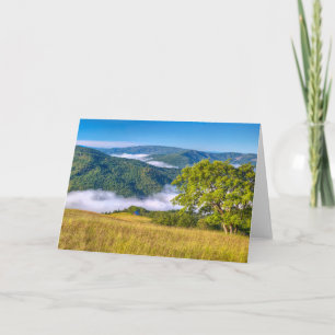 Redwood National Park, California Card