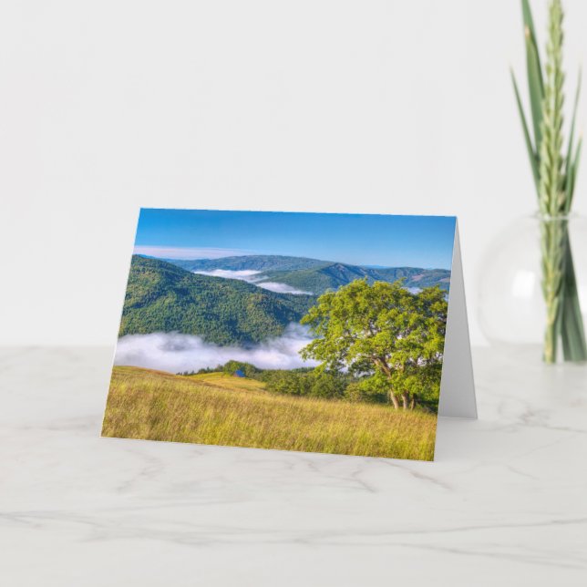 Redwood National Park, California Card (Front)