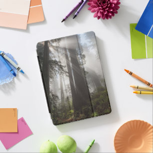 Redwood National Park California iPad Air Cover