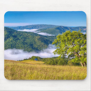 Redwood National Park, California Mouse Pad