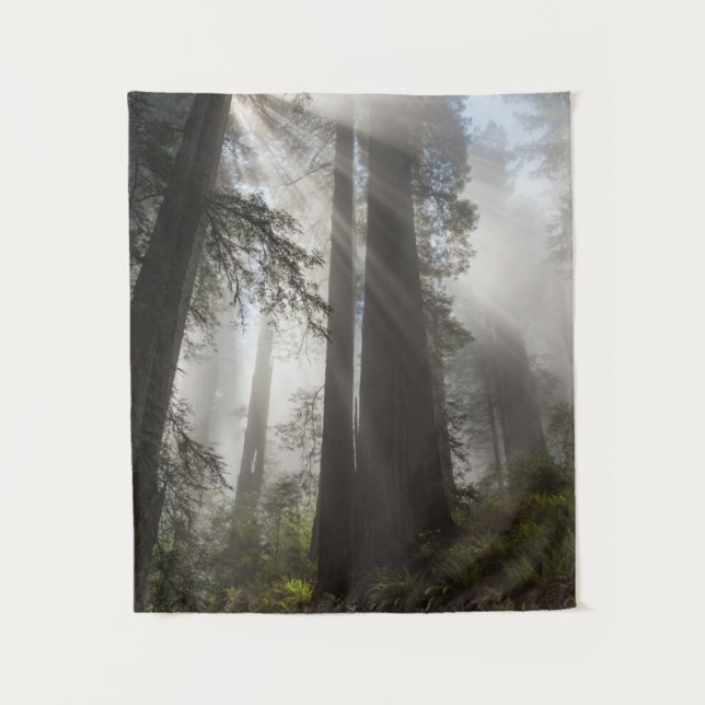 Redwood National Park California Tapestry (Front)