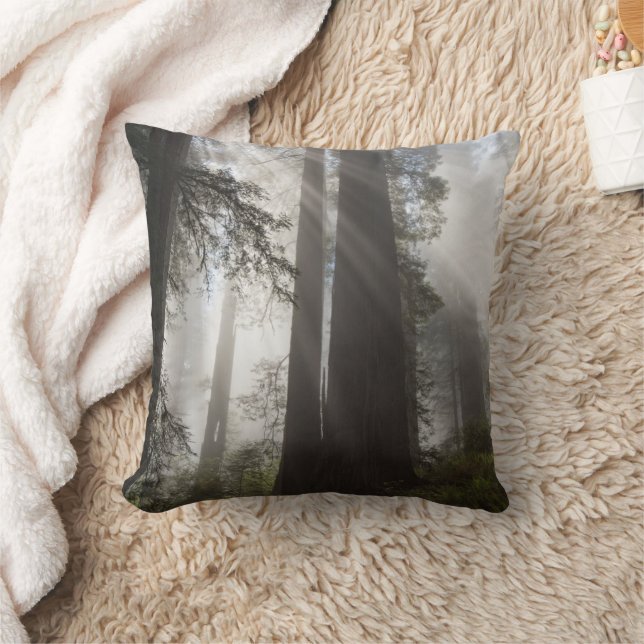Redwood National Park California Throw Pillow (Blanket)
