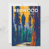Redwood National Park California Vintage