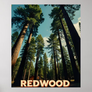 Redwood National Park California Vintage Poster