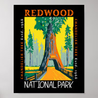 Redwood National Park Chandelier Tree Distressed