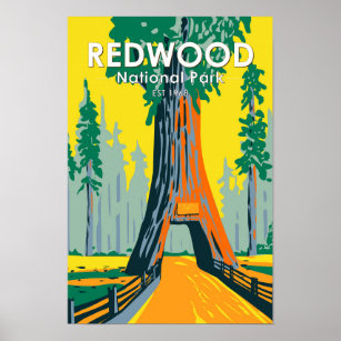 Redwood National Park Chandelier Tree Vintage Poster