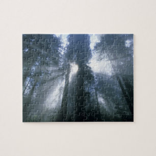 Redwood National Park, Del Norte County, foggy Jigsaw Puzzle
