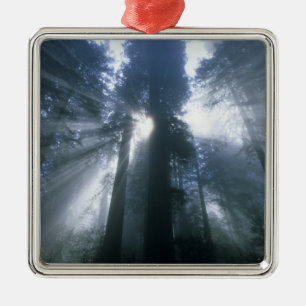 Redwood National Park, Del Norte County, foggy Metal Ornament