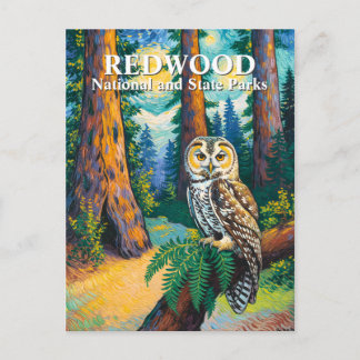 Redwood National Park Forest Owl Van Gogh Style Postcard
