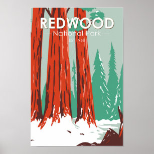 Redwood National Park In Winter California Vintage Poster