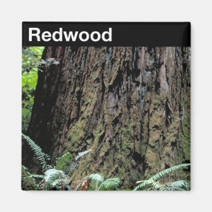 Redwood National Park Magnet