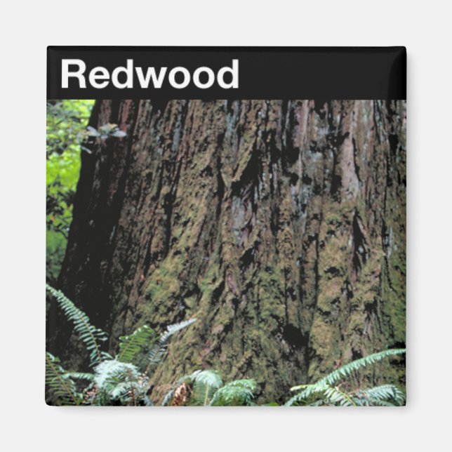 Redwood National Park Magnet (Front)