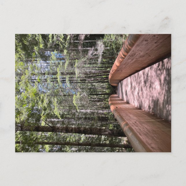 Redwood National Park postcard (Front)