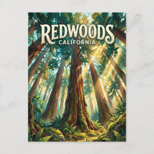 Redwood National Park USA Postcard