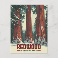 Redwood National Park - Vintage California