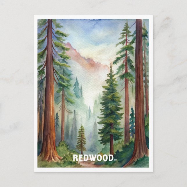 Redwood National Park Watercolor Painting Postcard (Front)